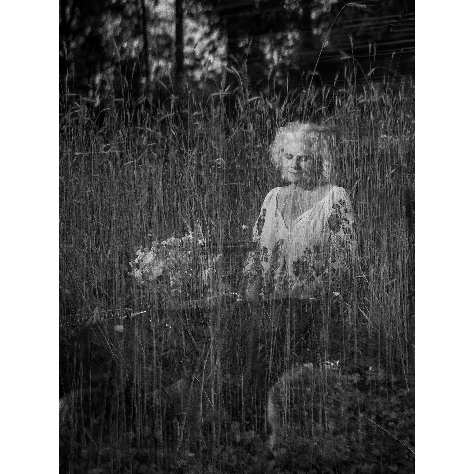 Margo (Cowboy Junkies)