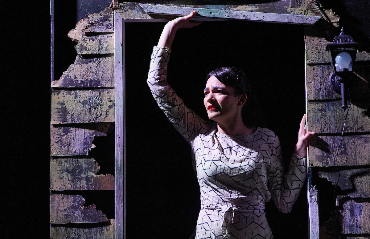 Photo by Josh Hawkins