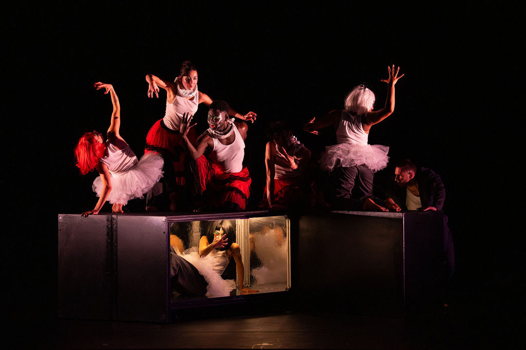 Photo by Allison Armfield