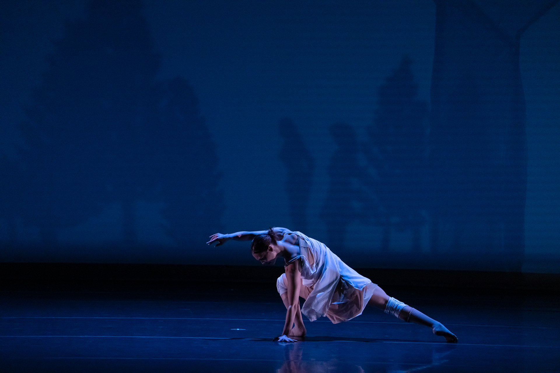Photo by Michelle Reid