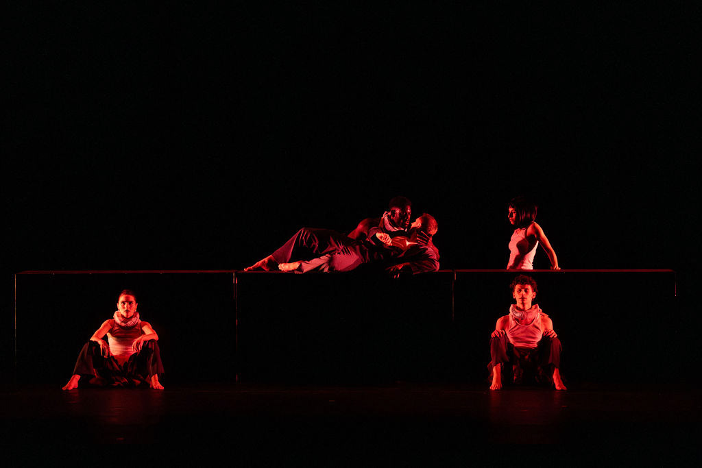 Photo by Allison Armfield