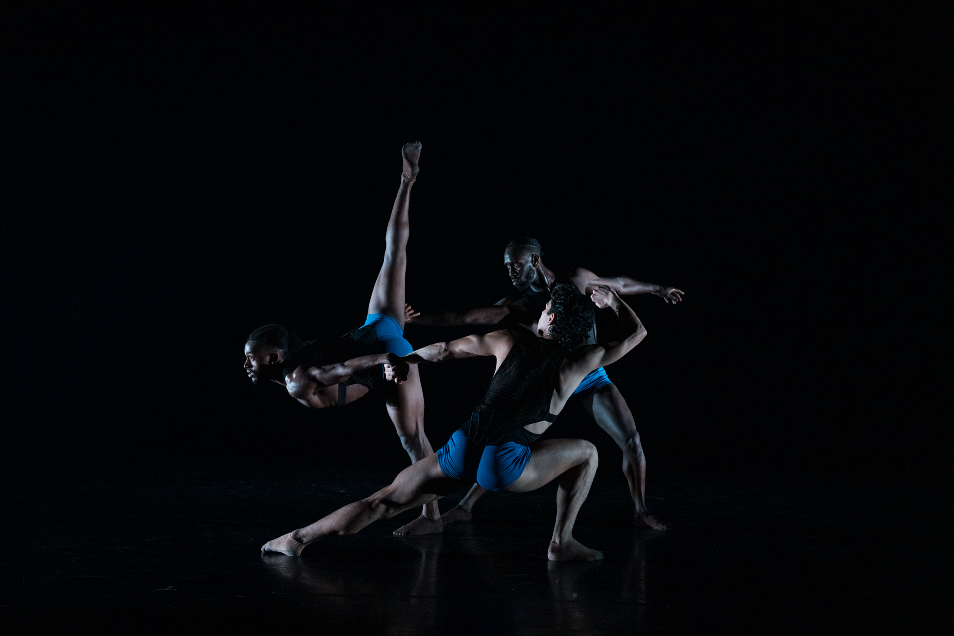 Photo by Michelle Reid