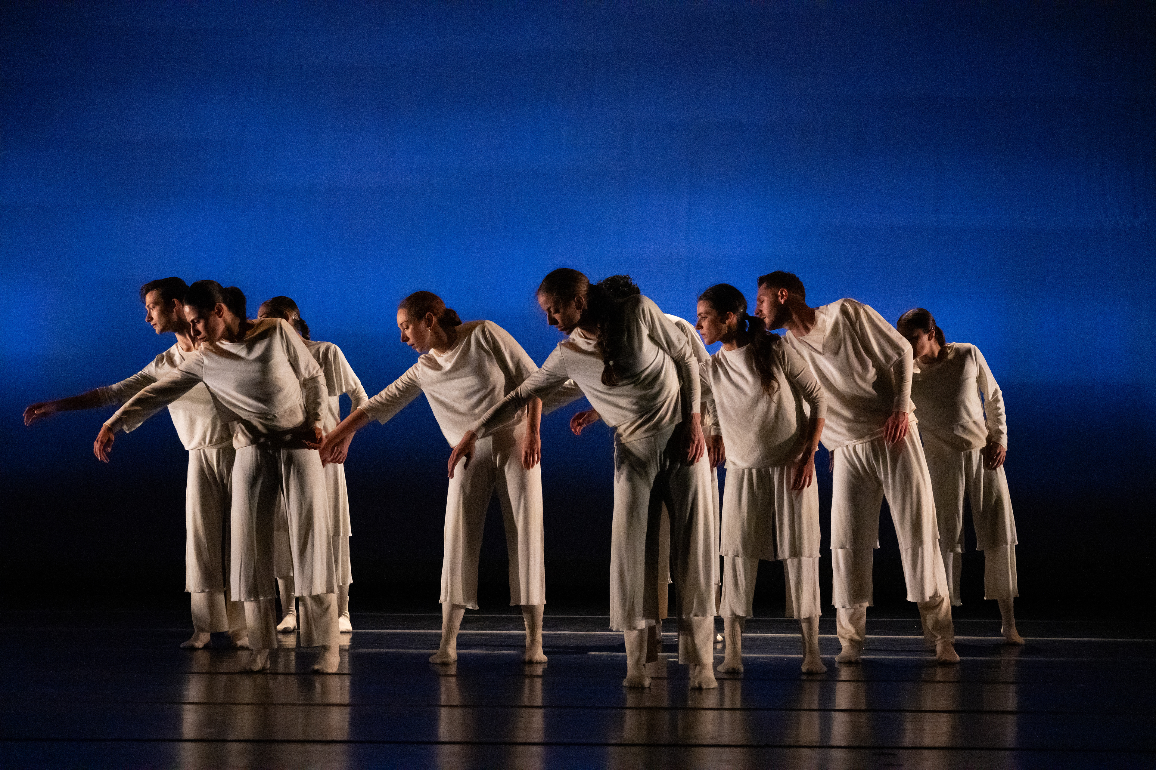 Photo by Allison Armfield