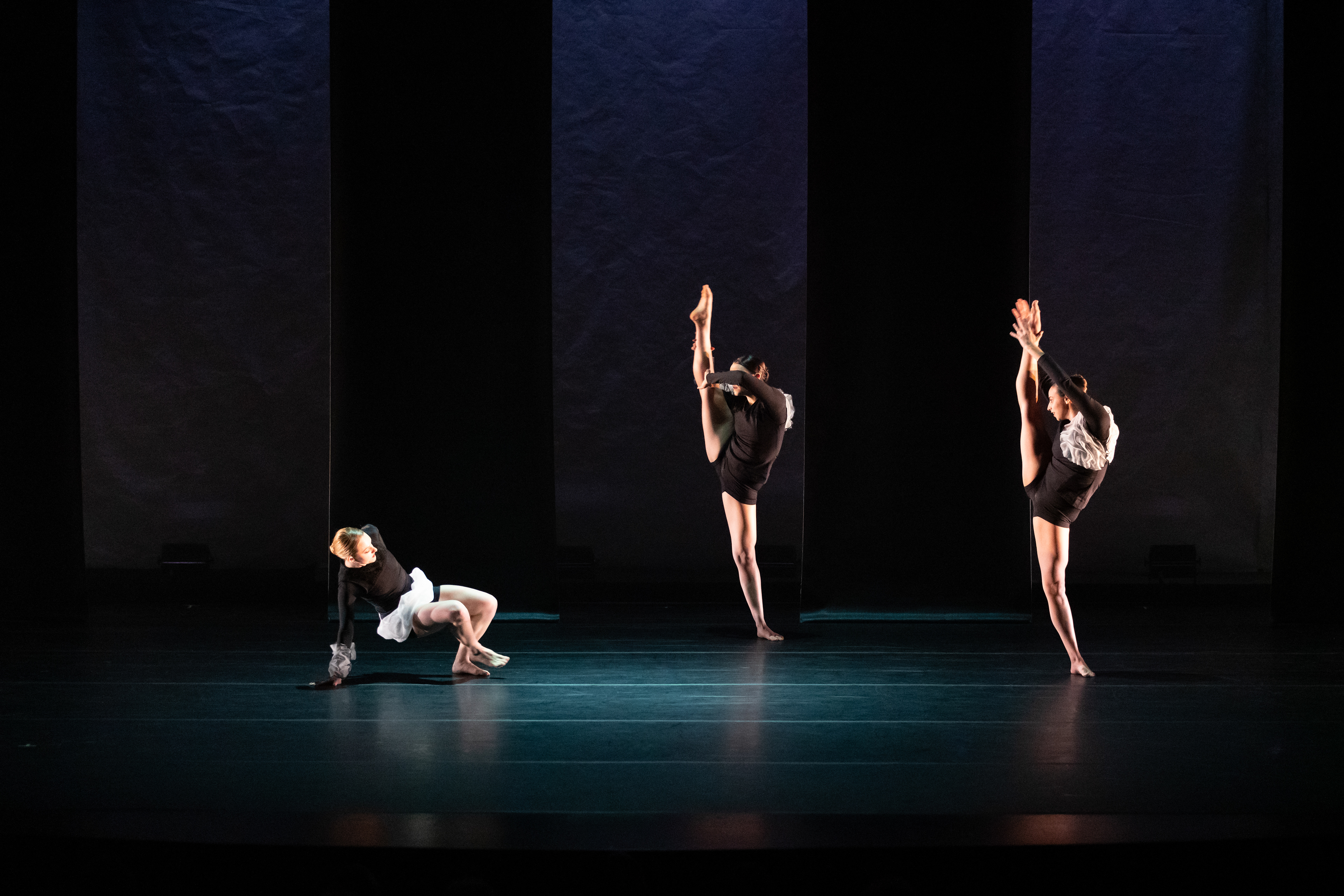 Photo by Mitty Carter Photography