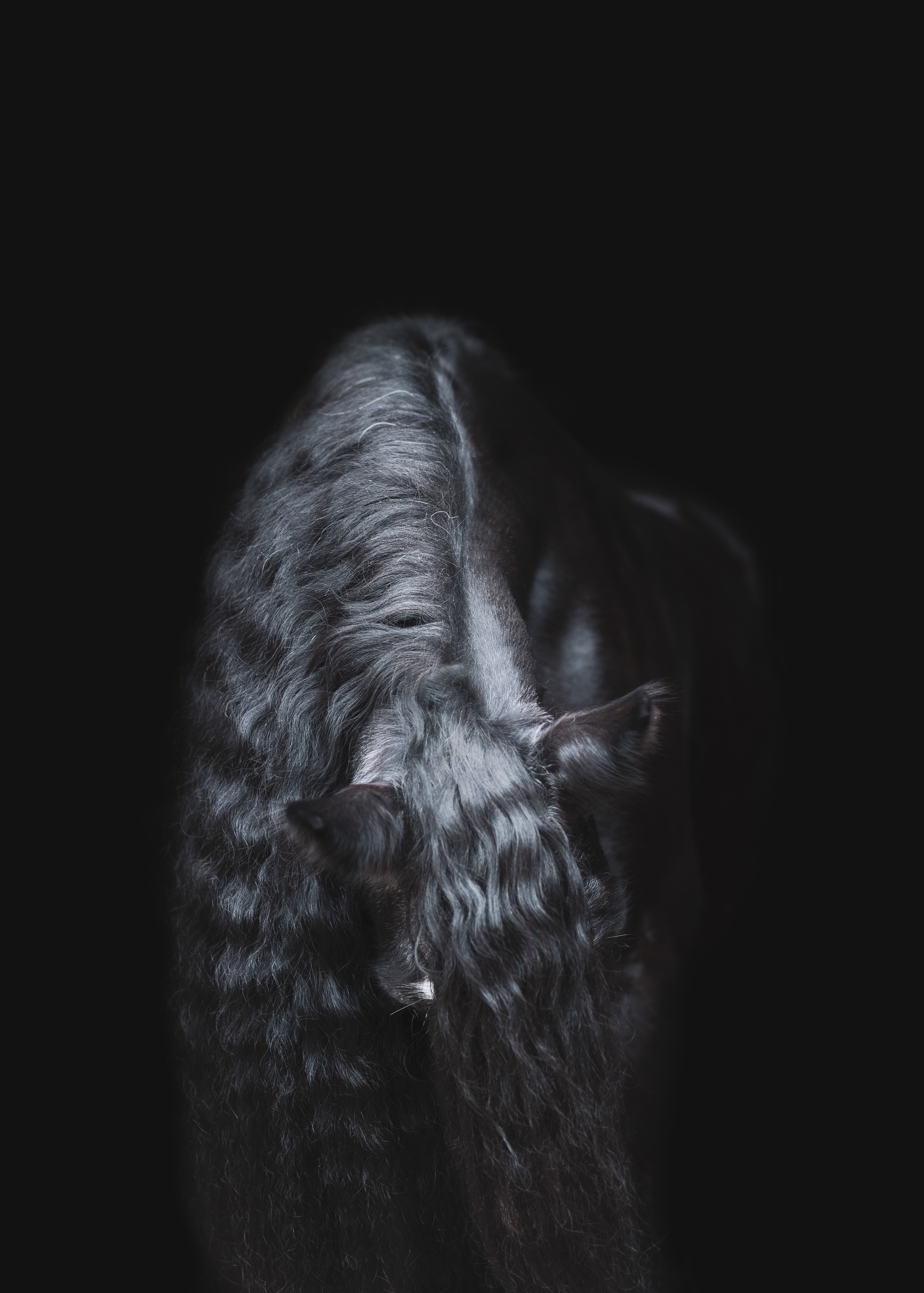 Mara