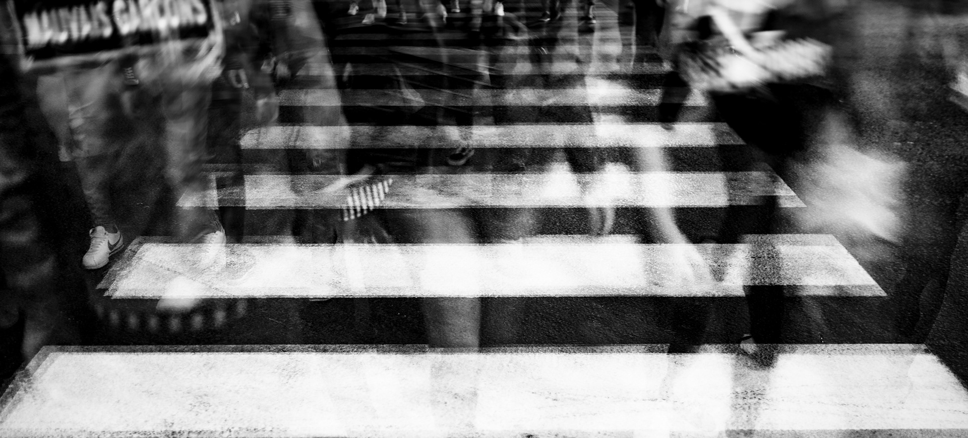 ZebraSeries - Thug Life