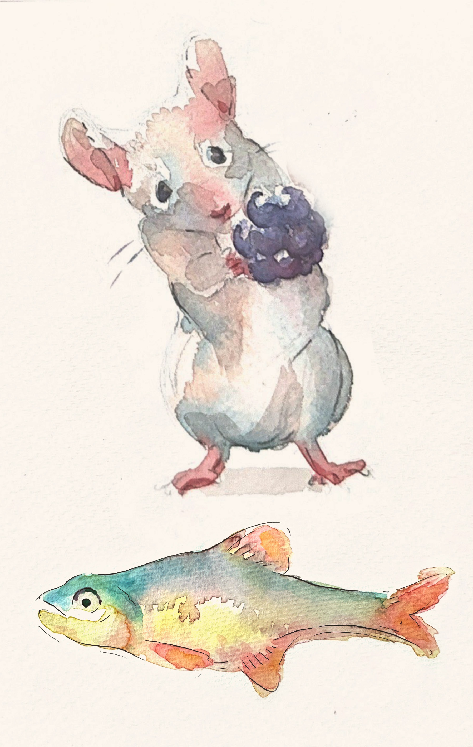 Animals ; Water Color
