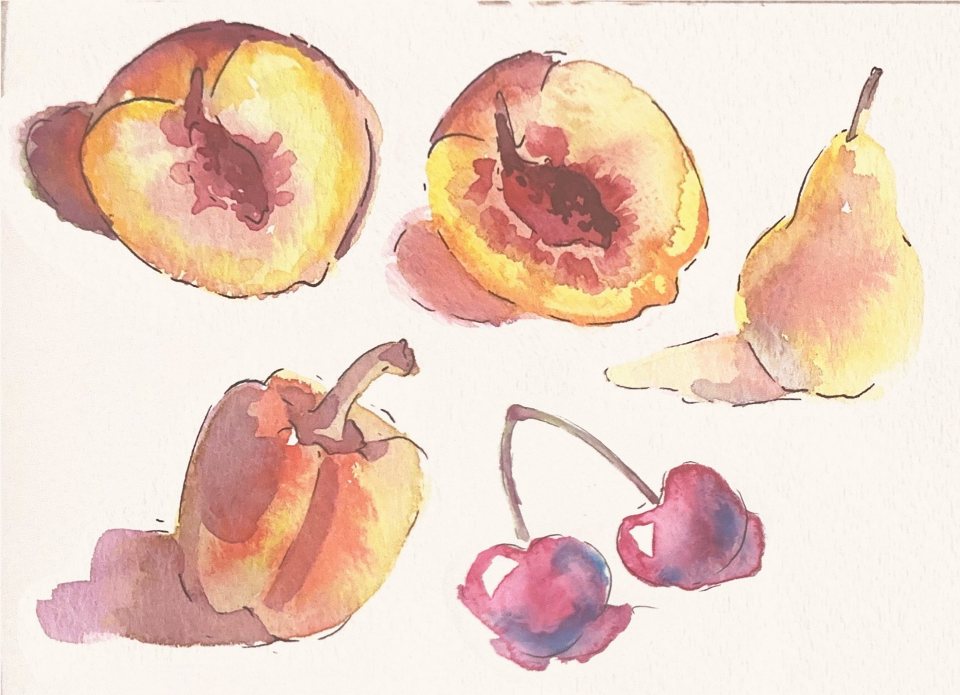 Fruits ; Water Color