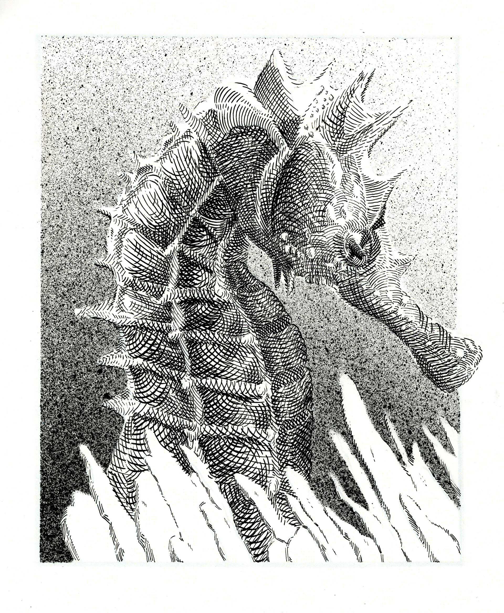 SeaHorse ; Ink