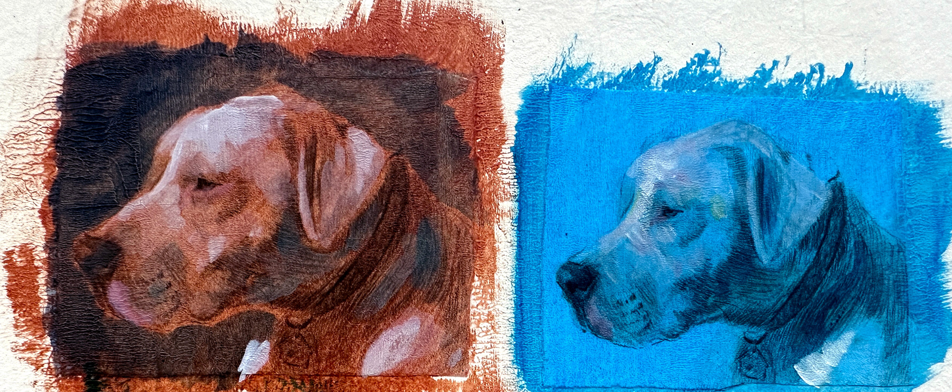 Pet Portrait Studies ; Acrylic
