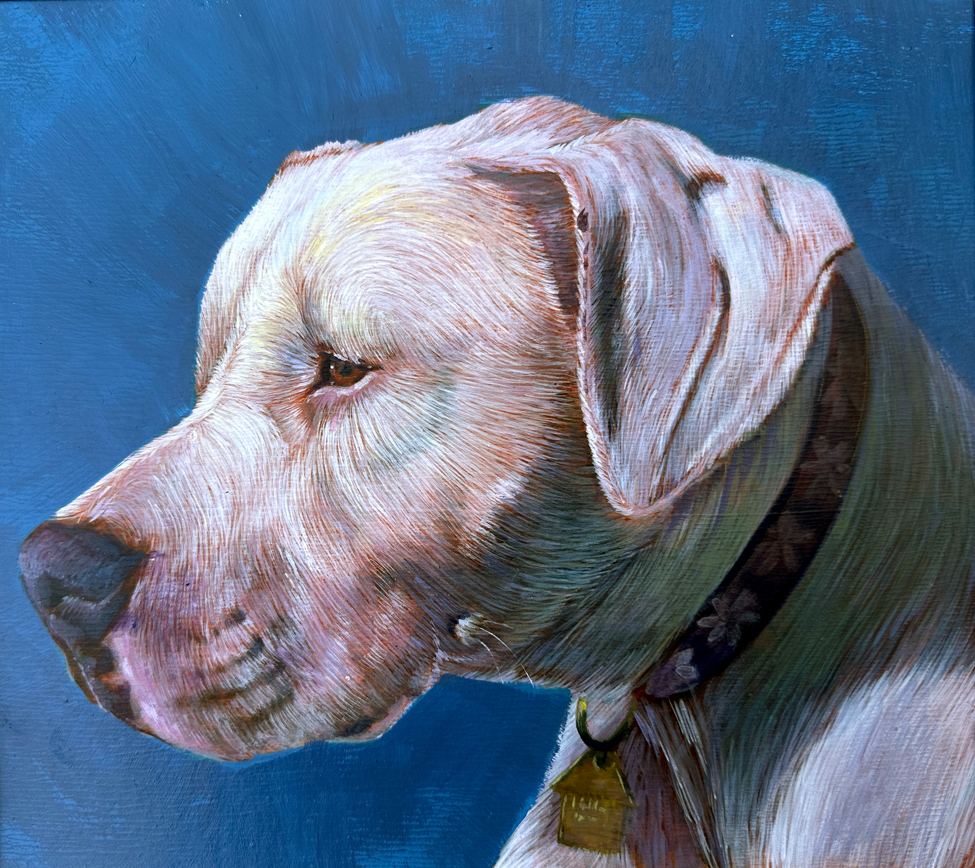 Pet Portrait ; Acrylic