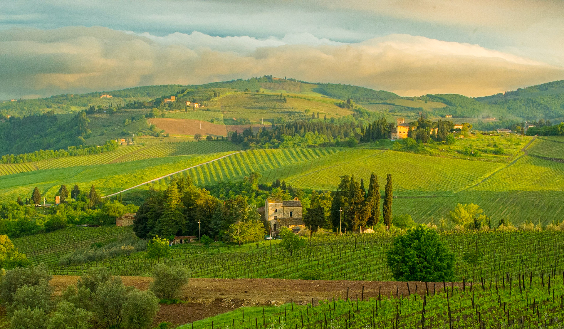 In an interlude after a week of rain, the sun broke through at sunrise. A few patches of clear sky provides bright highlights, between storm clouds.  Fifteen minutes later, it was pouring again.  