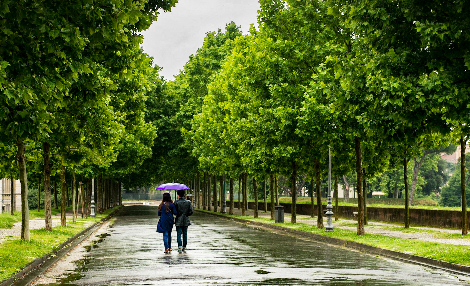 Lucca is one of the few Italian cities whose medieval walls are completely intact, providing a broad path for strolling lovers in the rain.  June 2013