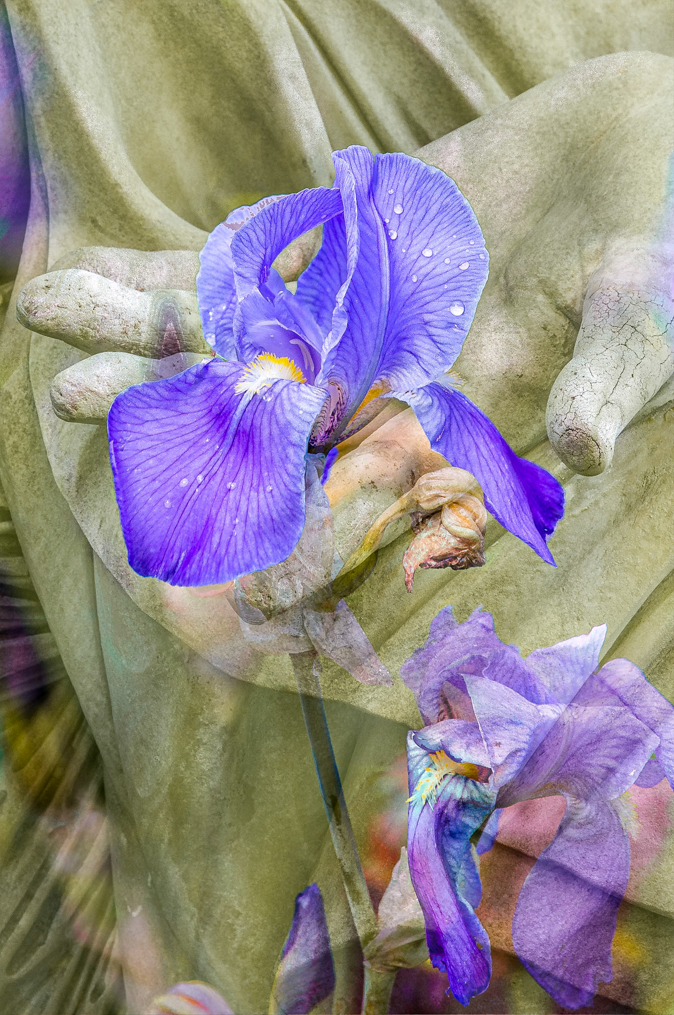 This composite image combines the sculpted hands (a detail of Pio Fedi’s sculpture, “The Rape of Polyxena”) made in Florence, Italy in the Loggia dei Lanzi. The softer, female element came from a photograph of an iris in an Italian garden.