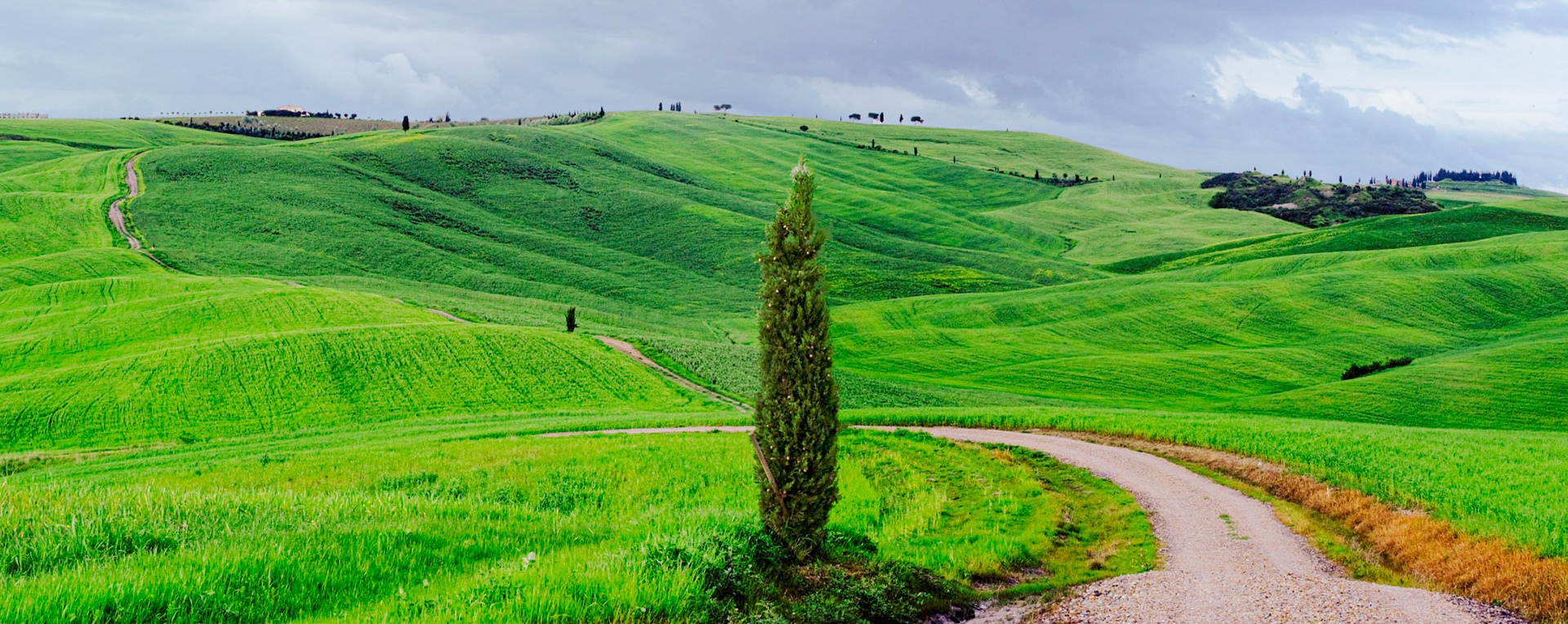 Photographed at Torrenieri, behind the cypress grove.  This is a two-shot stitched panorama. May 2010