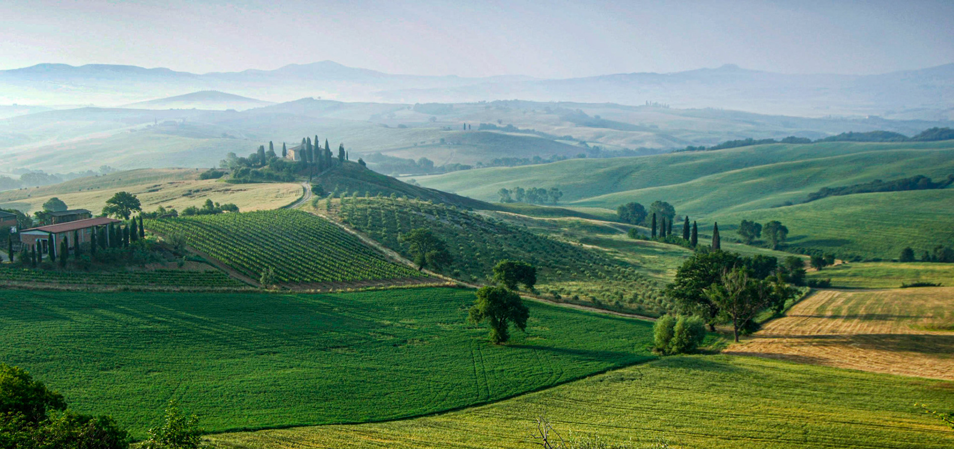 Early light casts long shadows across the hills near San Quirico d’Orcia in southern Tuscany.