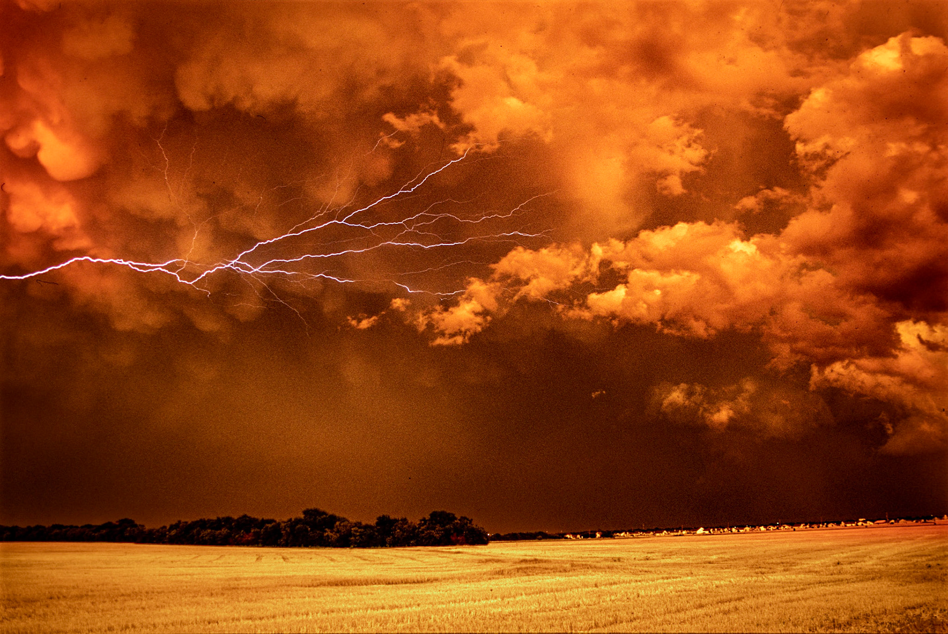 Evening skies and a low sun penetrating my scene from below the cloud cover dramatically illuminates and colors these storm clouds and the wheat fields east of Wichita. 