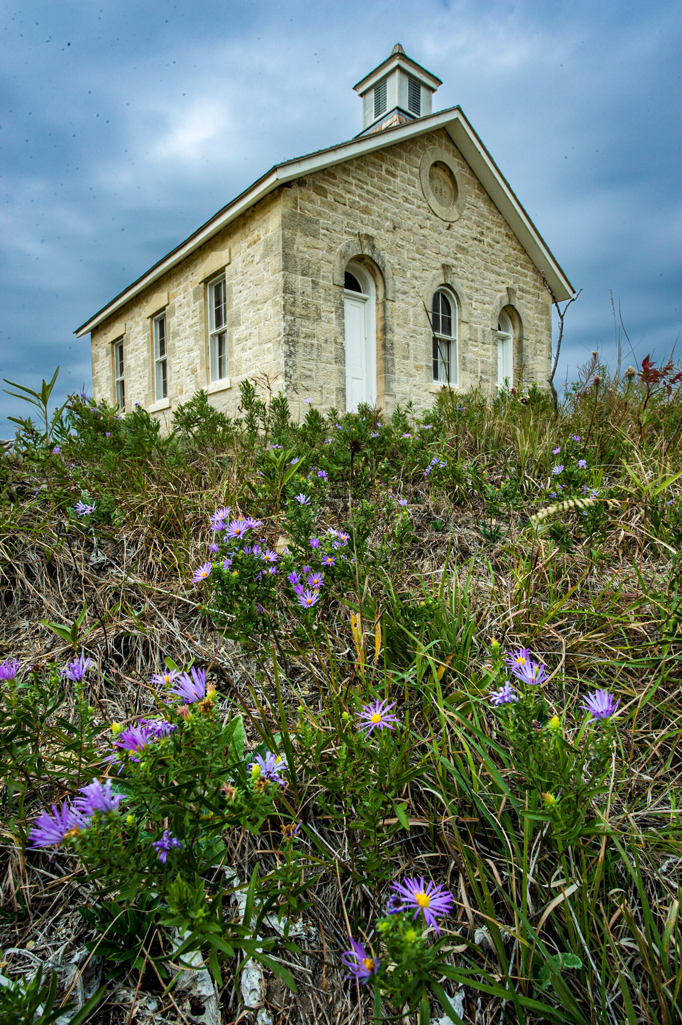 The Lower Fox Creek School opened its doors in September 1884 and saw its last students in 1930.  The land and the school are now part of the Tallgrass Prairie National Preserve. Despite the tongue-in-cheek title, the flowers are sticky asters, a member of the sunflower family. October, 2012