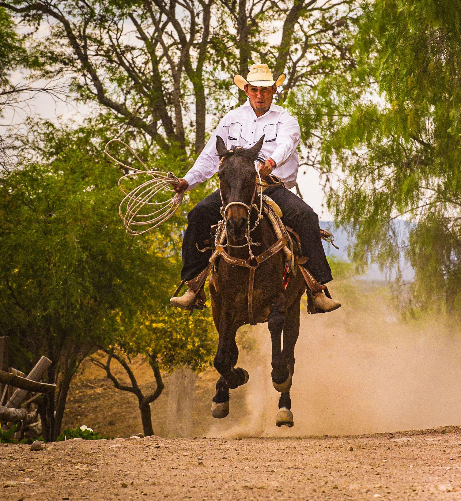 "Riding Hard at Hacienda Las Trancas", Dolores Hidalgo, Mexico, 2012