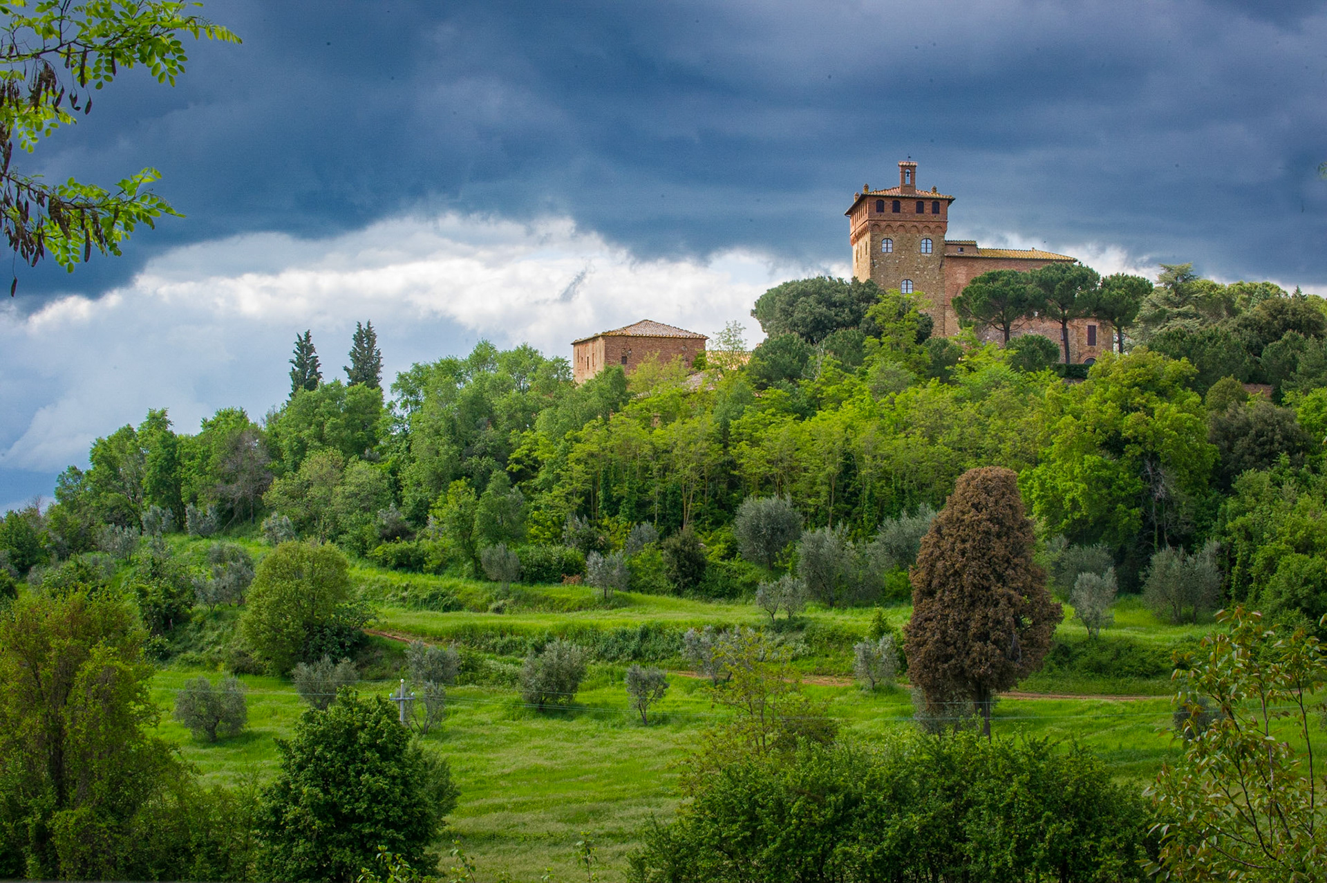 Between Montepulciano and Pienza is the Palazzo Massanini, the origins of which date to around 1200. Today it is among the many Agriturismi, converted farms and villa, that now provide guest accommodations.