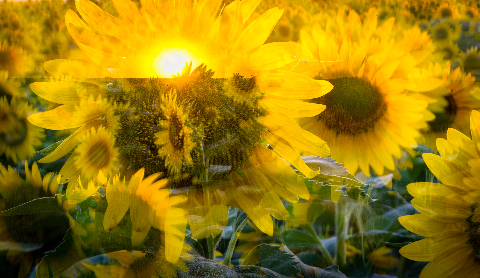 At some points along the Arkansas River flowing through downtown Wichita. Here, I’ve heightened the effect with a four-shot multiple exposure, the lens zoomed out a bit between each exposure. February, 2010