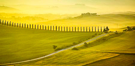 This long cypress-lined drive leading up to a villa is near the small town of Bagno Vignoni.  The sun has just risen, infusing the mist-laden valley with a golden glow. May 2007