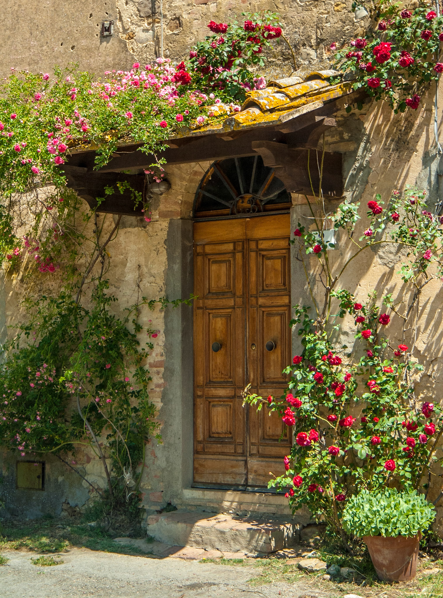 A small group of us photographing in Italy passed this farm house in Cedda, and marveled at the flower-covered entry. We stopped and asked permission to photograph, generously granted, and spent more than an hour.