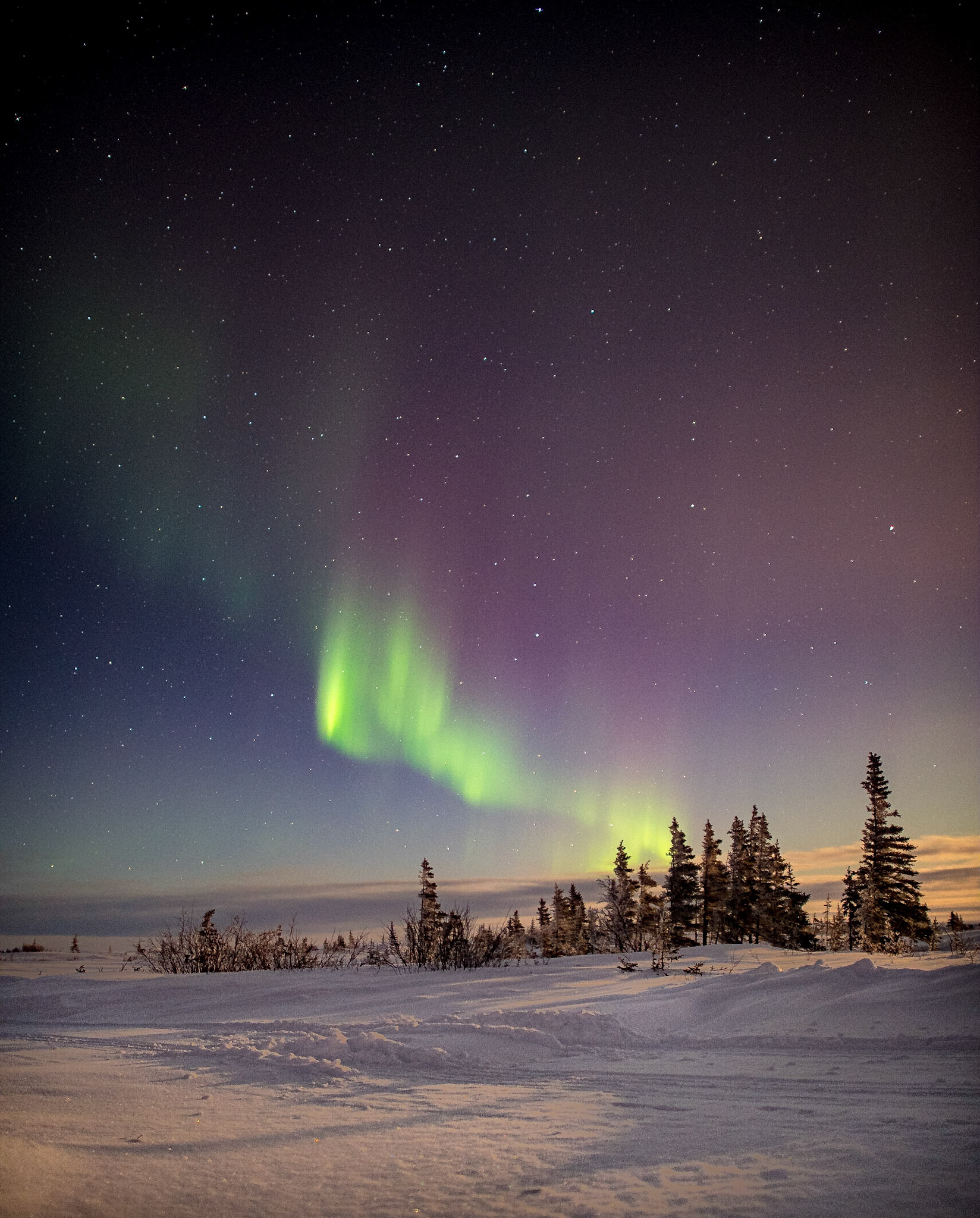 "Lightshow Over The Boreal Forest", Churchill, Canada, 2018