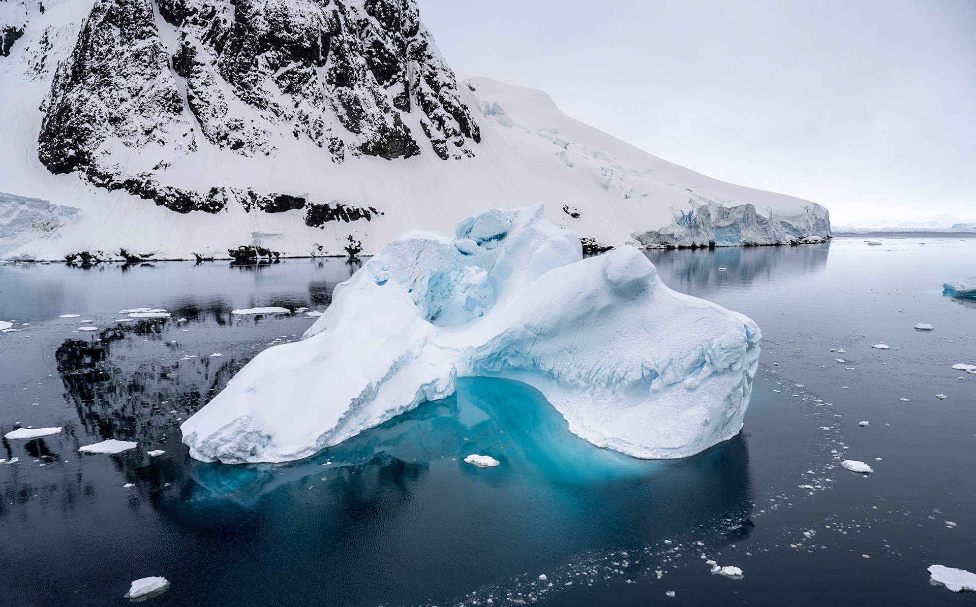 Ice, between Booth & Pléneau Islands