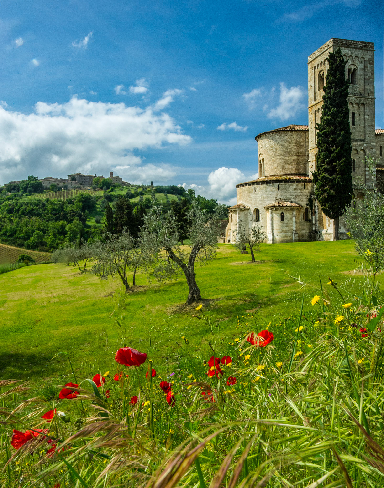 This former Benedictine monastery is in southern Tuscany near the village of Castelnuovo dell’Abate.  There has apparently been a monastery here since at least the 800’s.  May, 2010