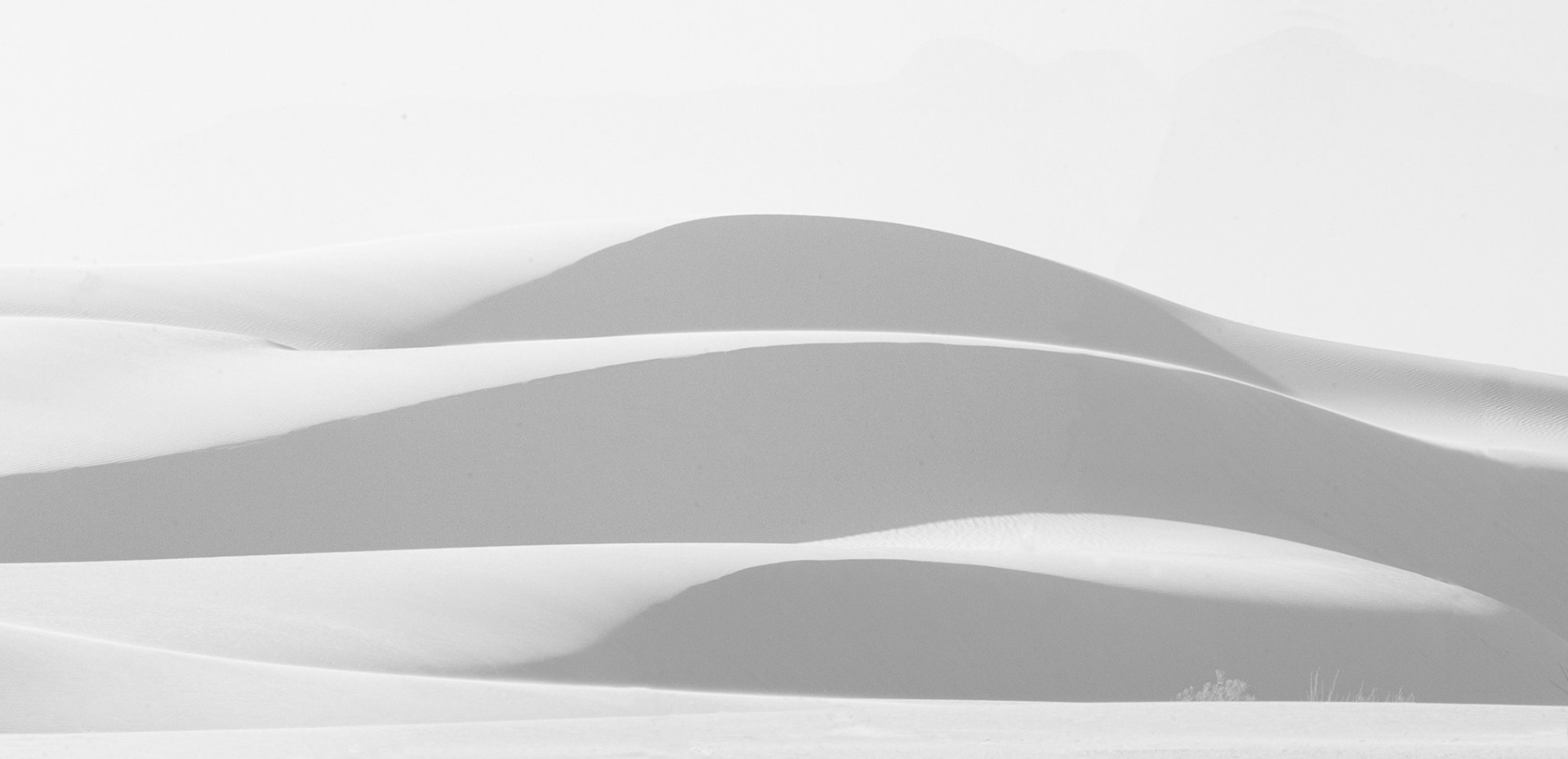 "Sinuosity", 2009