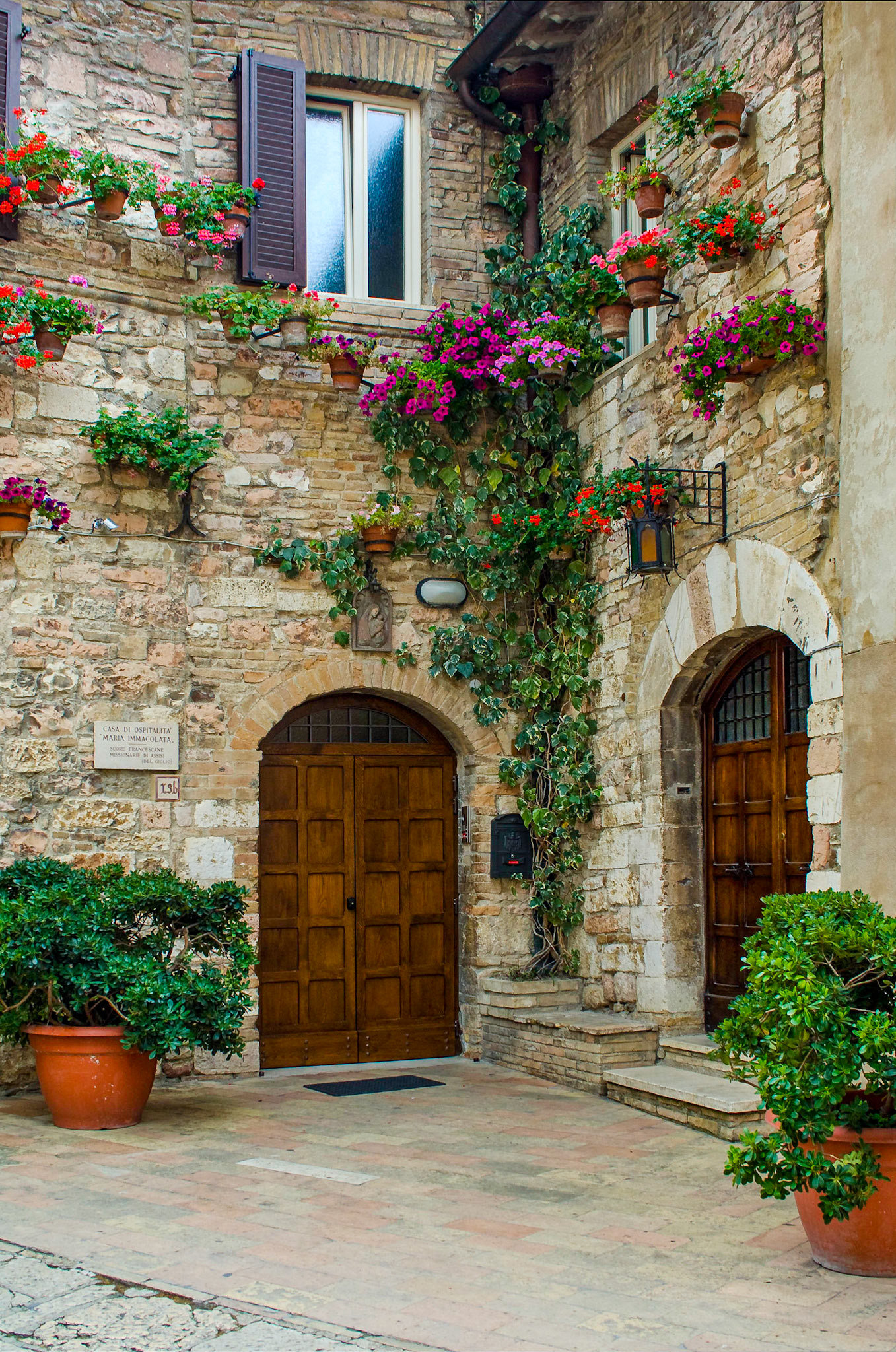 Vines and flowers on a doorway to a hospital, Assisi, June 2009