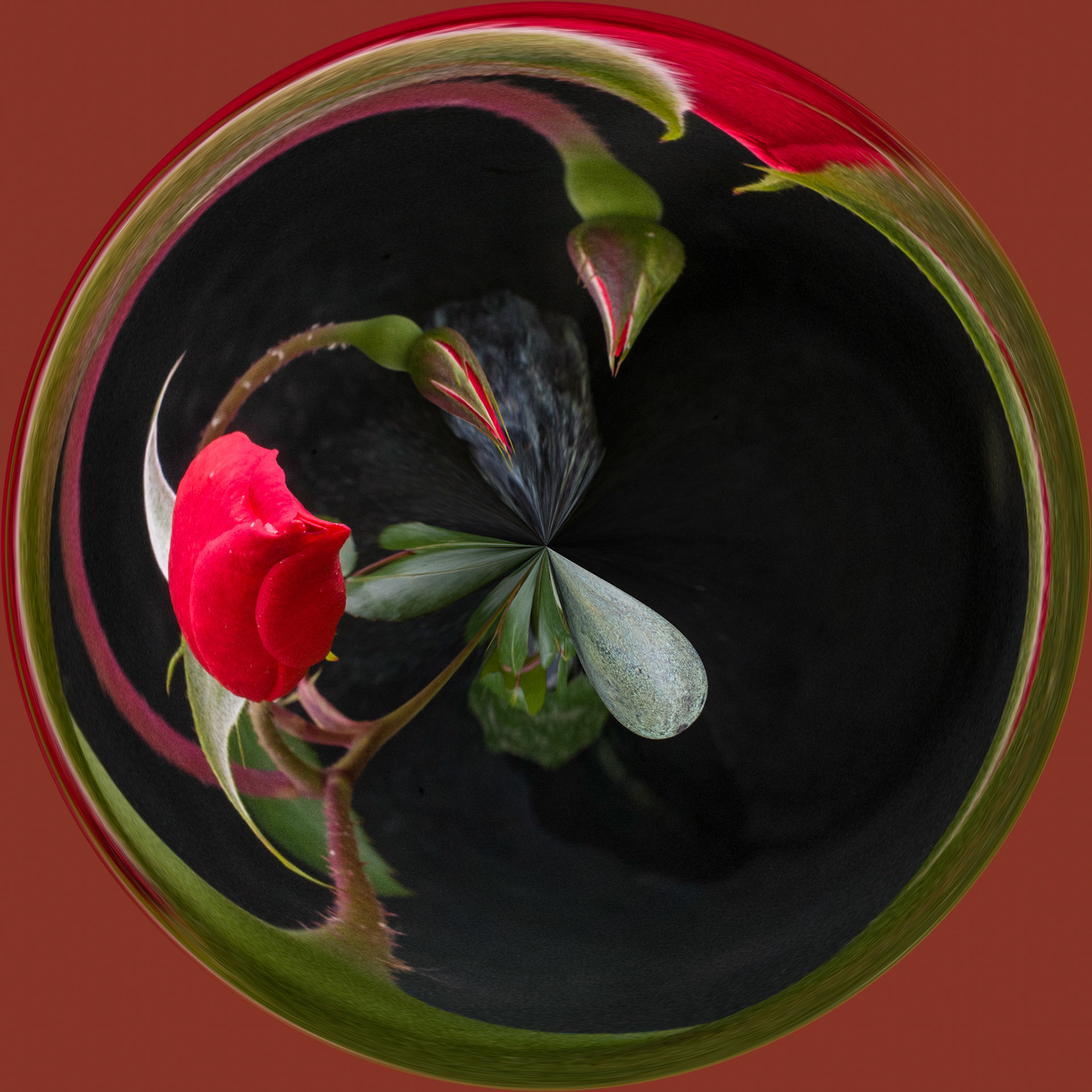 "Rose Serpents", 2020