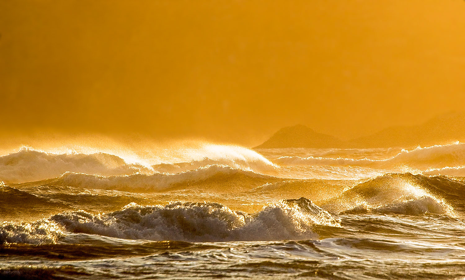 "Golden Breakers", Oregon, 2006