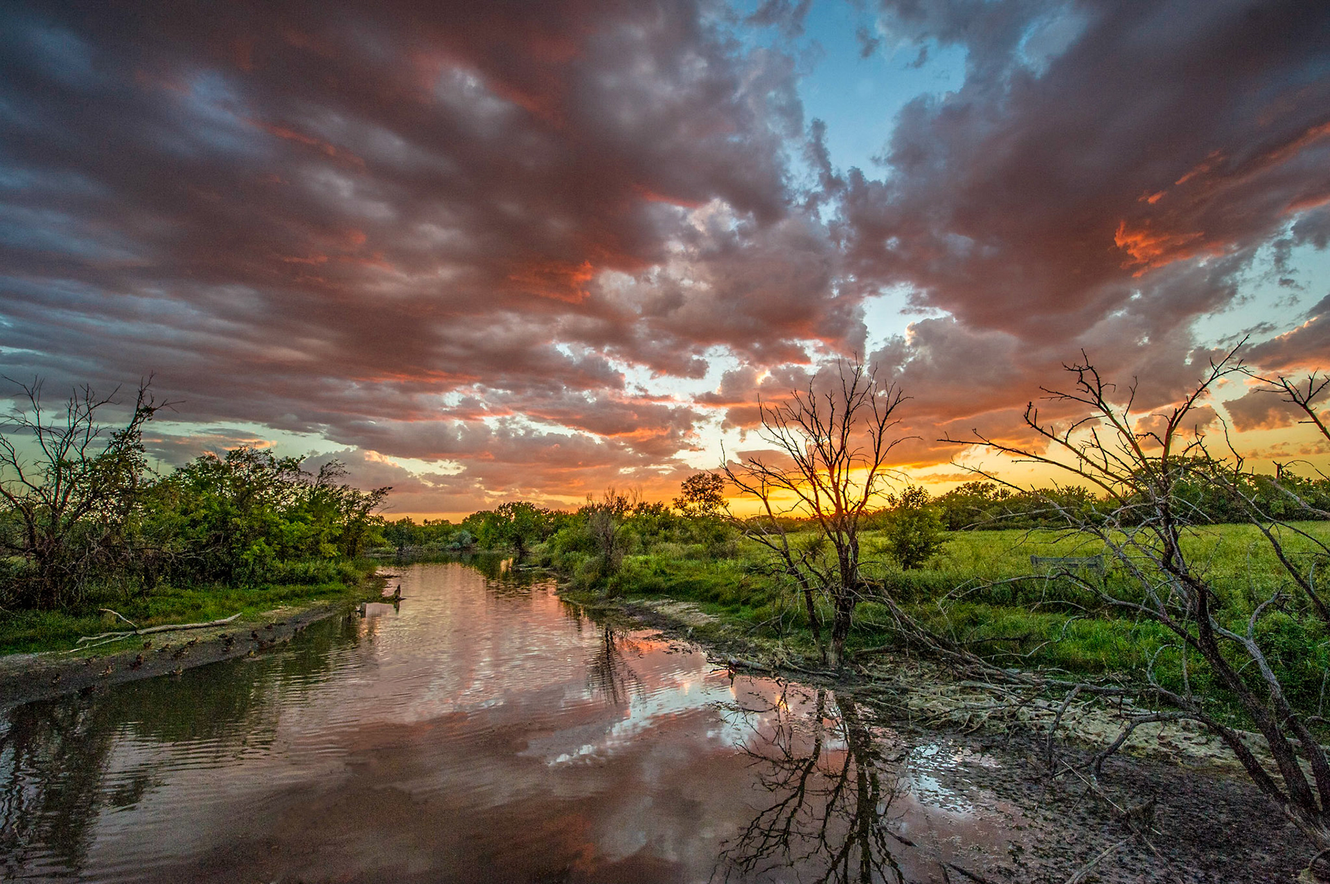 Chisholm Creek Park is close to my residence in Wichita, thus a frequent subjet for my work.