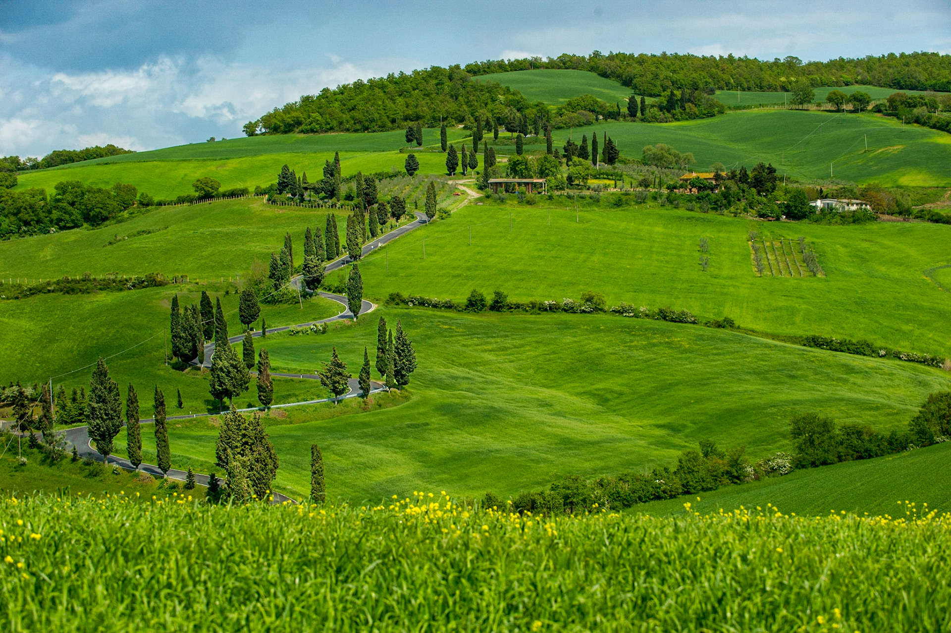 The picturesque winding road in this photograph runs north from the Tuscan town of Montichiello.