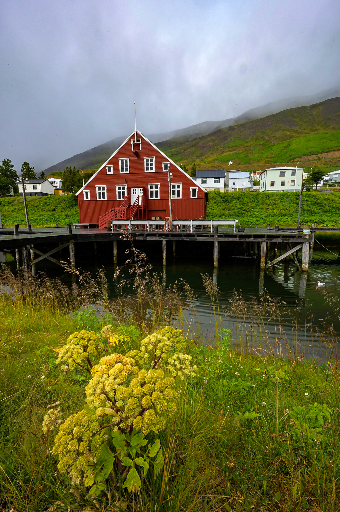 "Red Herring", Siglufjörður, Iceland, 2019
