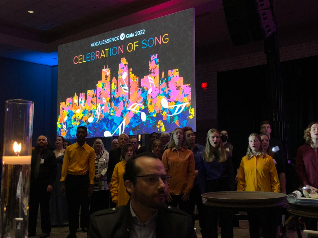 Video Screen