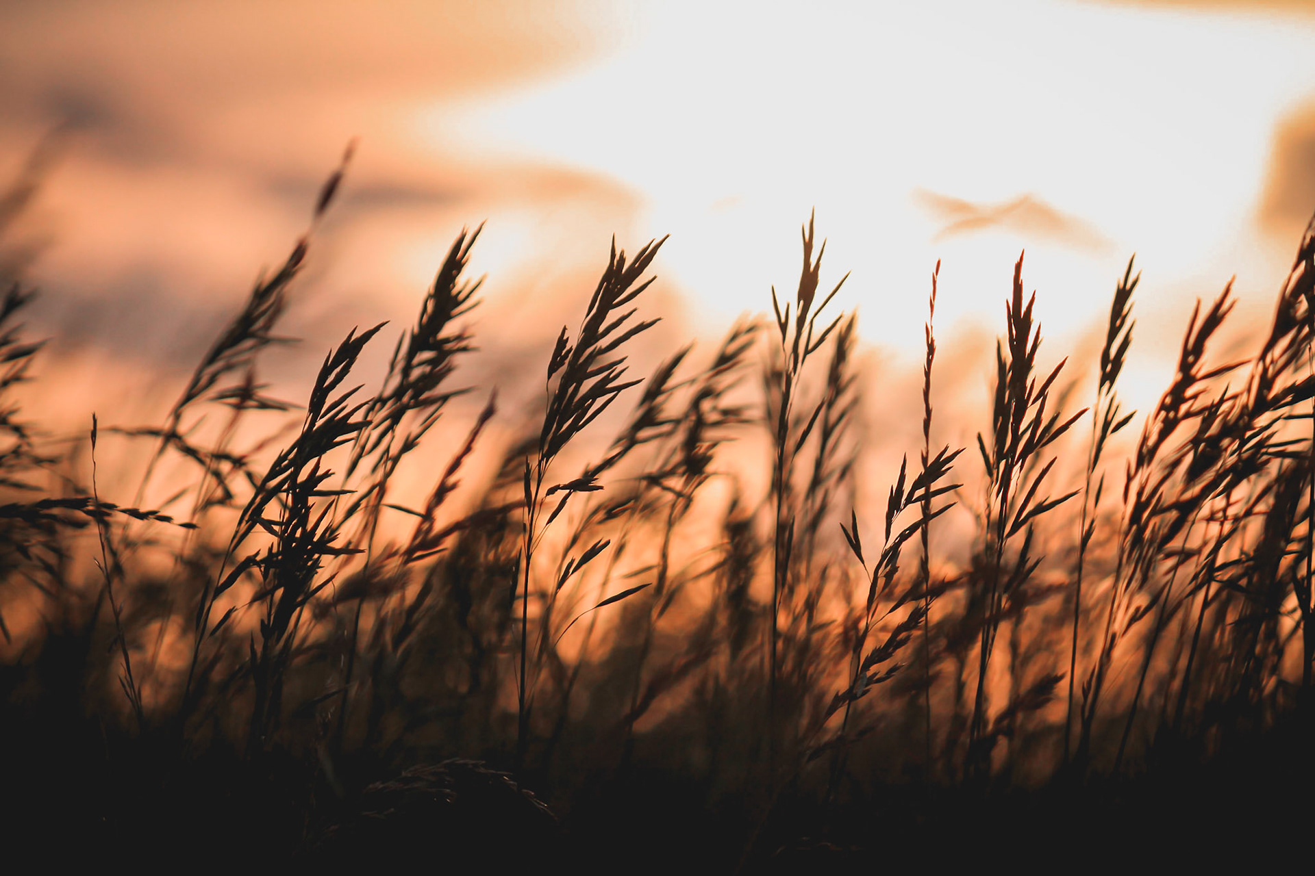 A dreamy re-edit of a sunset shot.