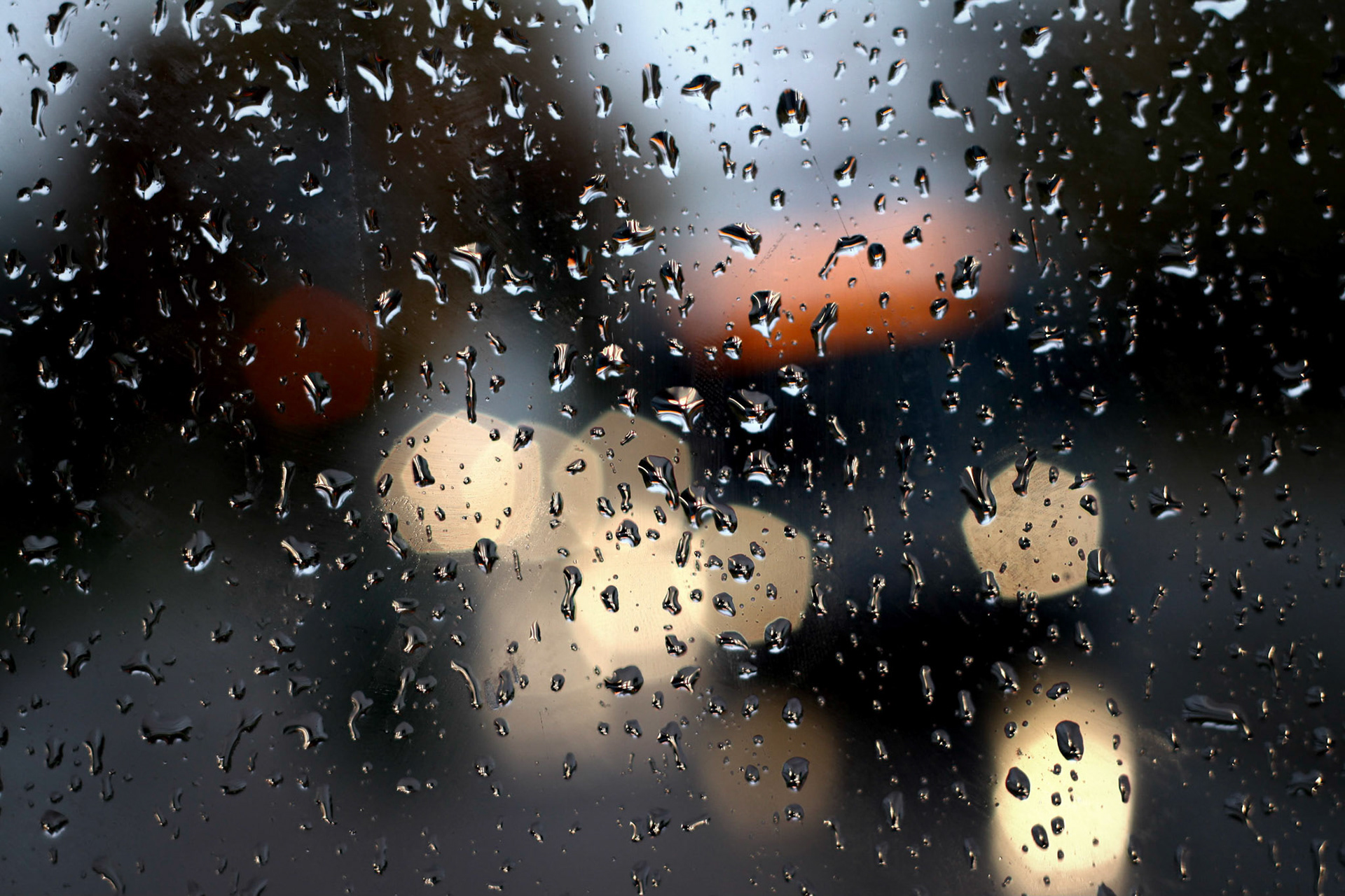 A few throwback shots for #TBT, in this case water droplets! This one was taken on a rainy October morning in Lansing, Michigan. Who doesn't love waiting for the bus in the rain?