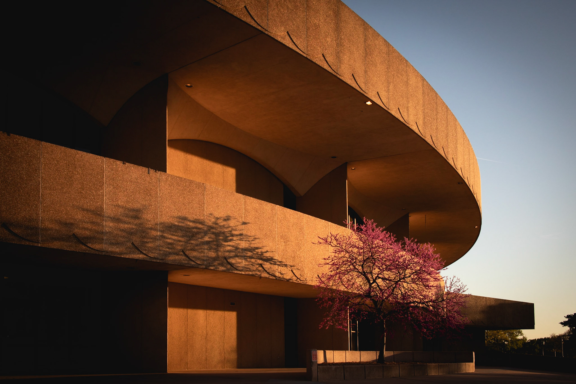 Golden hour light on Century II.