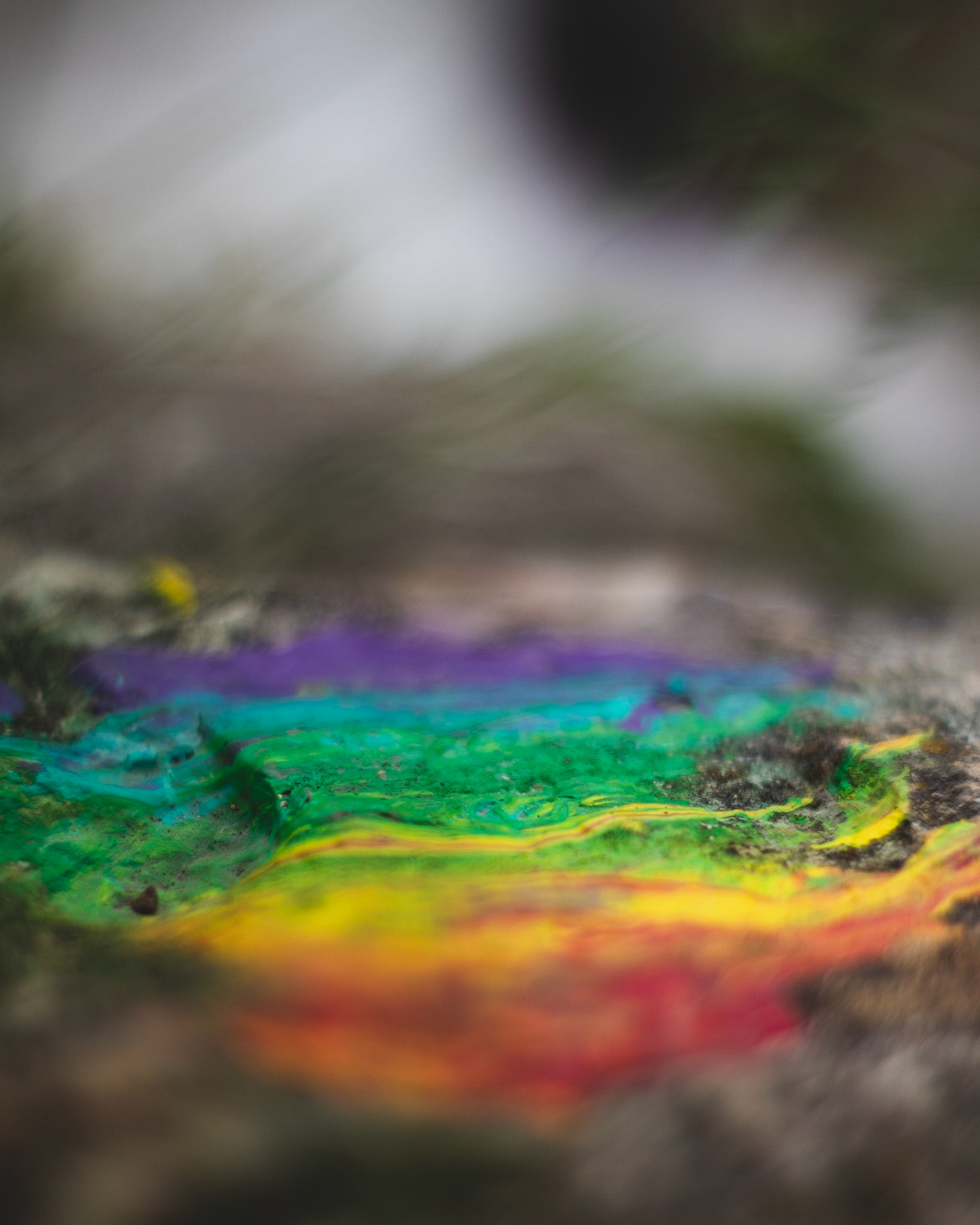 Sadly the 7artisans 35mm lens isn't super sharp, but what it lacks in technical quality it more than makes up for in it's ability to blur almost everything in a really interesting and unique way.