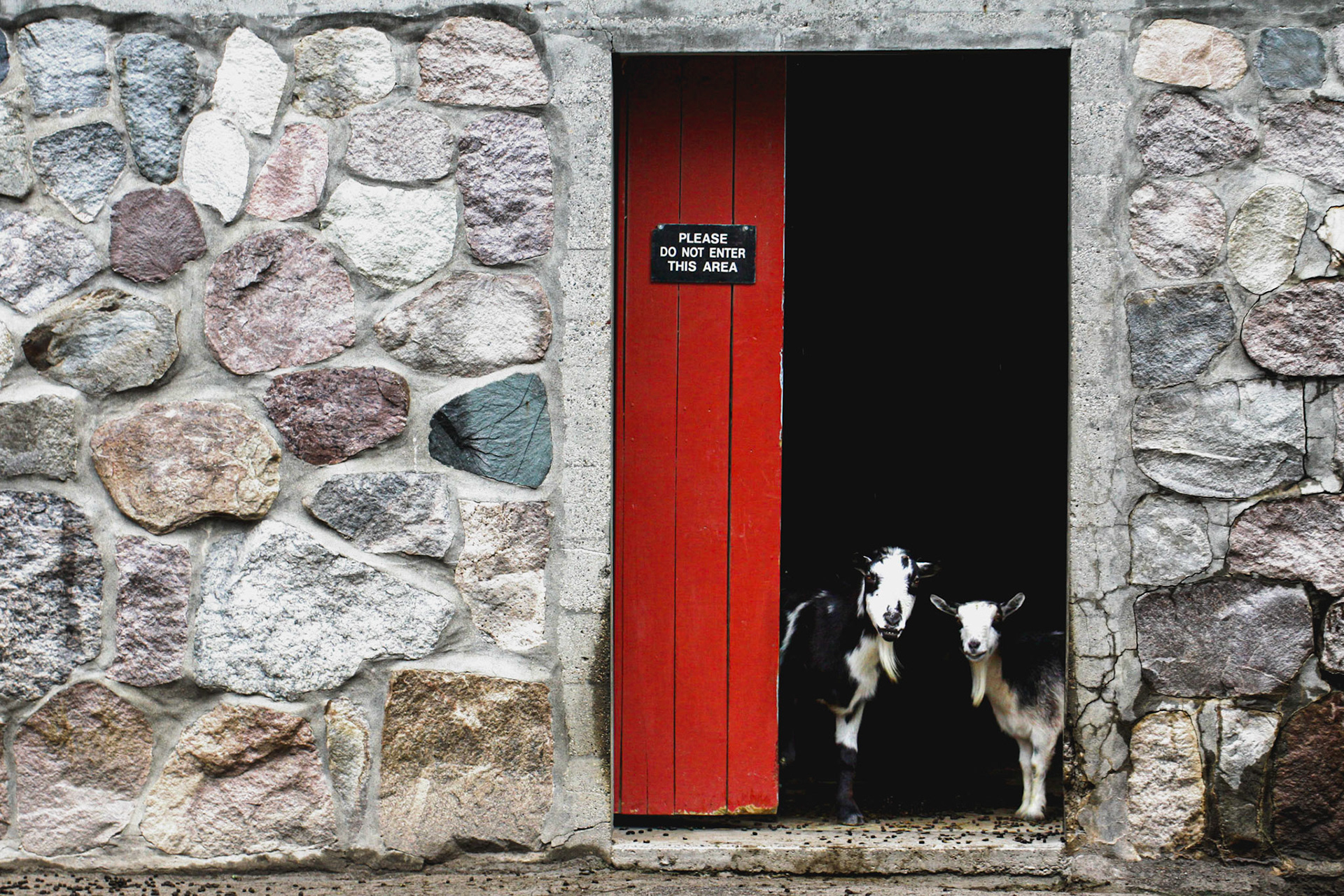 An old photo taken during one of the Scott Kelby photo walks in Lansing MI.