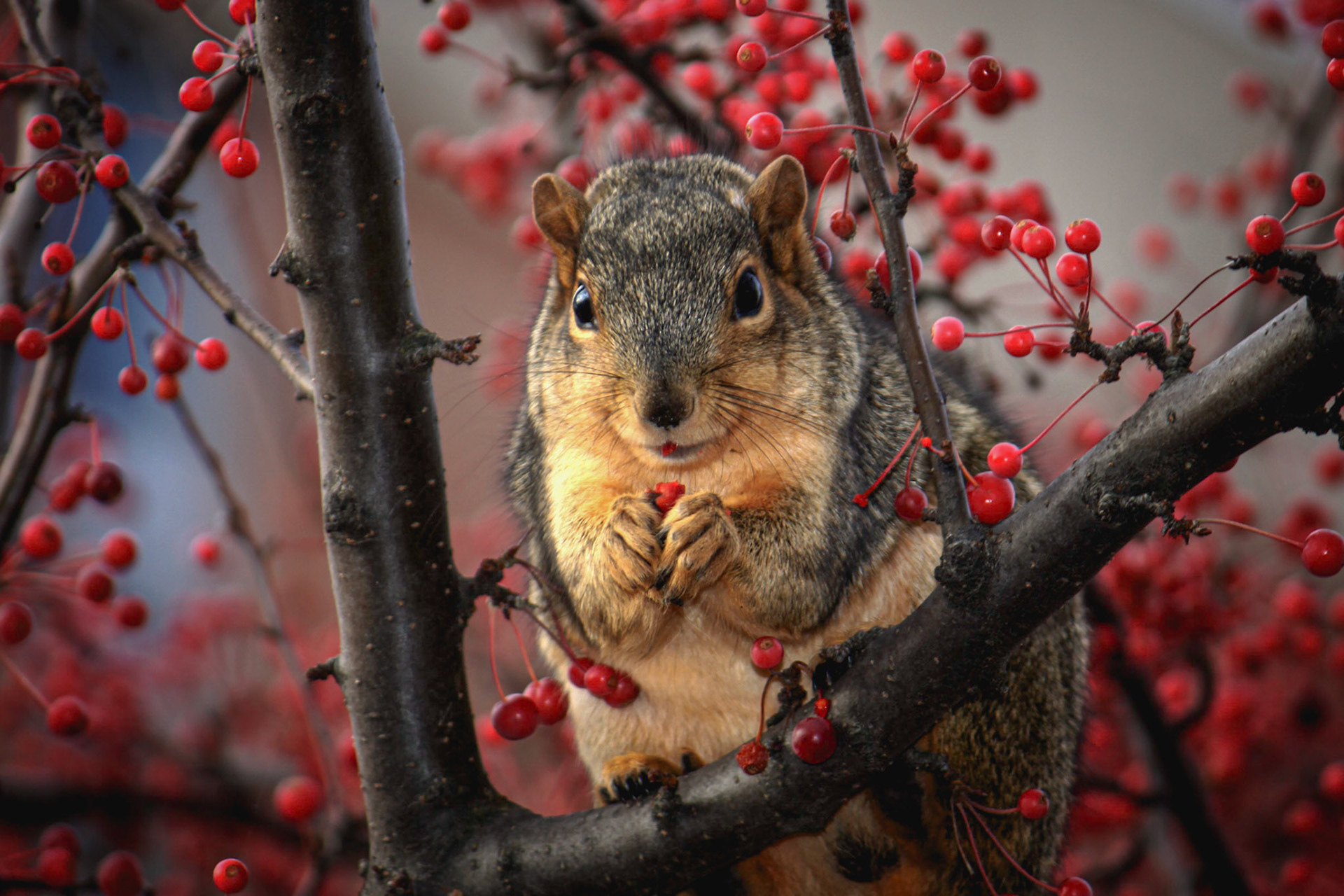 One of my earliest shots, decided to reupload so I could get a wildlife / animals theme going.