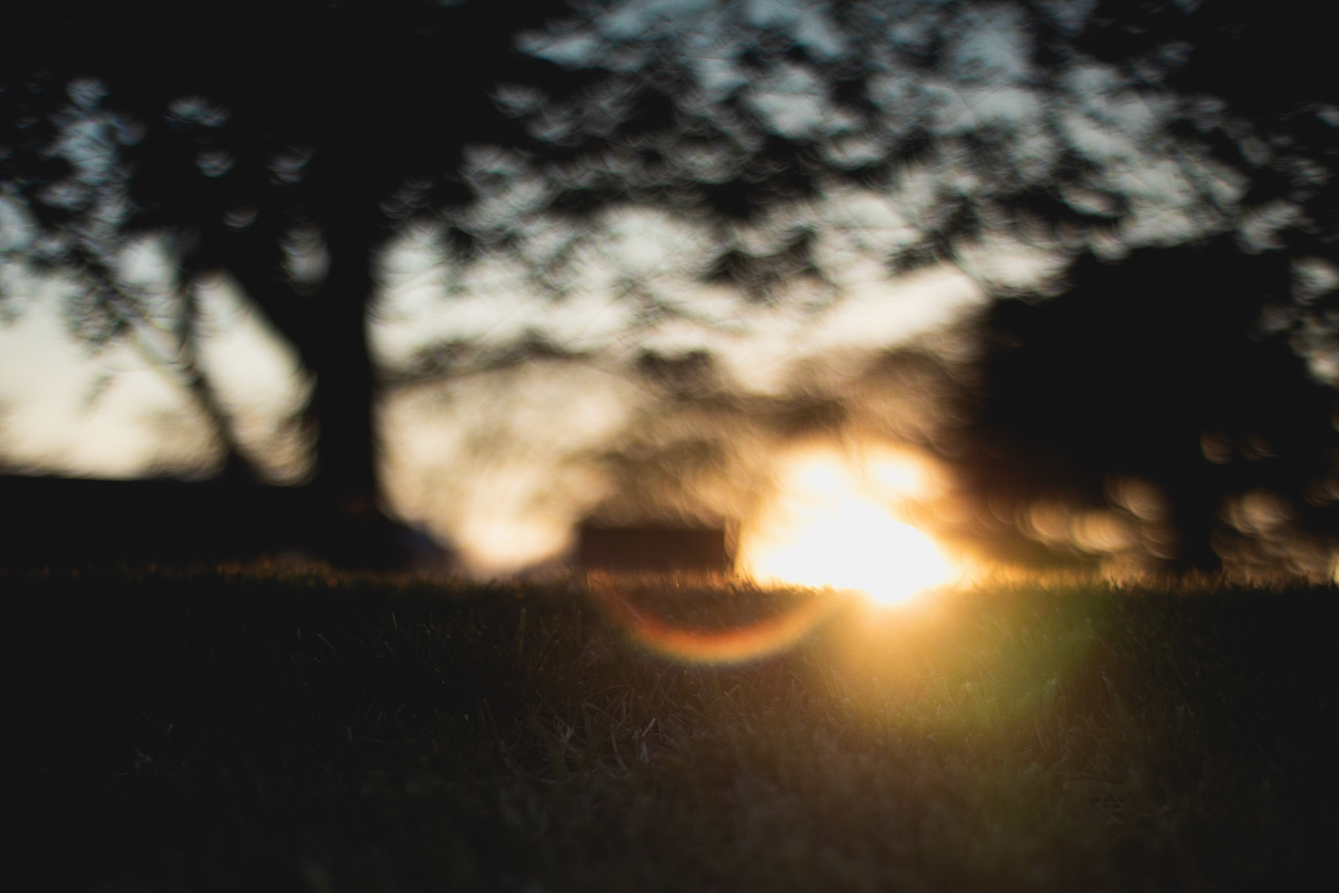 Lens flair for sure falls into the flaw category for lenes, and while I can't disagree with that, there's something I really like about how this particular shot turned out, flair and all. It actually ended up being my favorite of the evening.