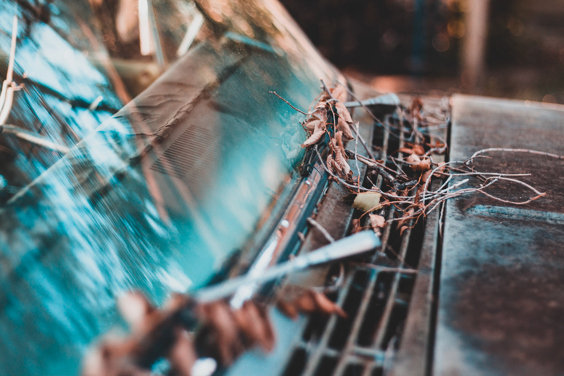 Old leaves gathering on an old pickup truck. Upped the orange and blue to really capture that summer vibe.