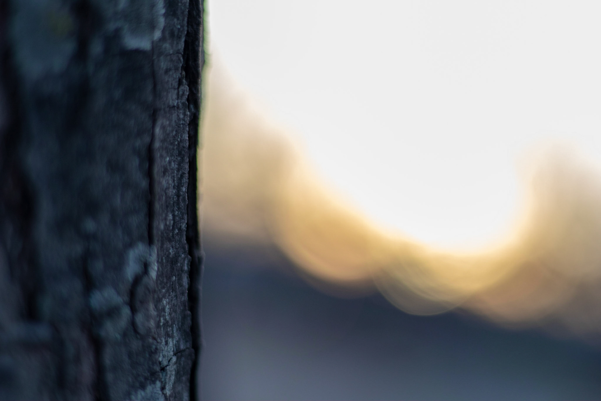 There's really not much to say about this. It's less about a particular thing and more about smooth transitions and soft colors.