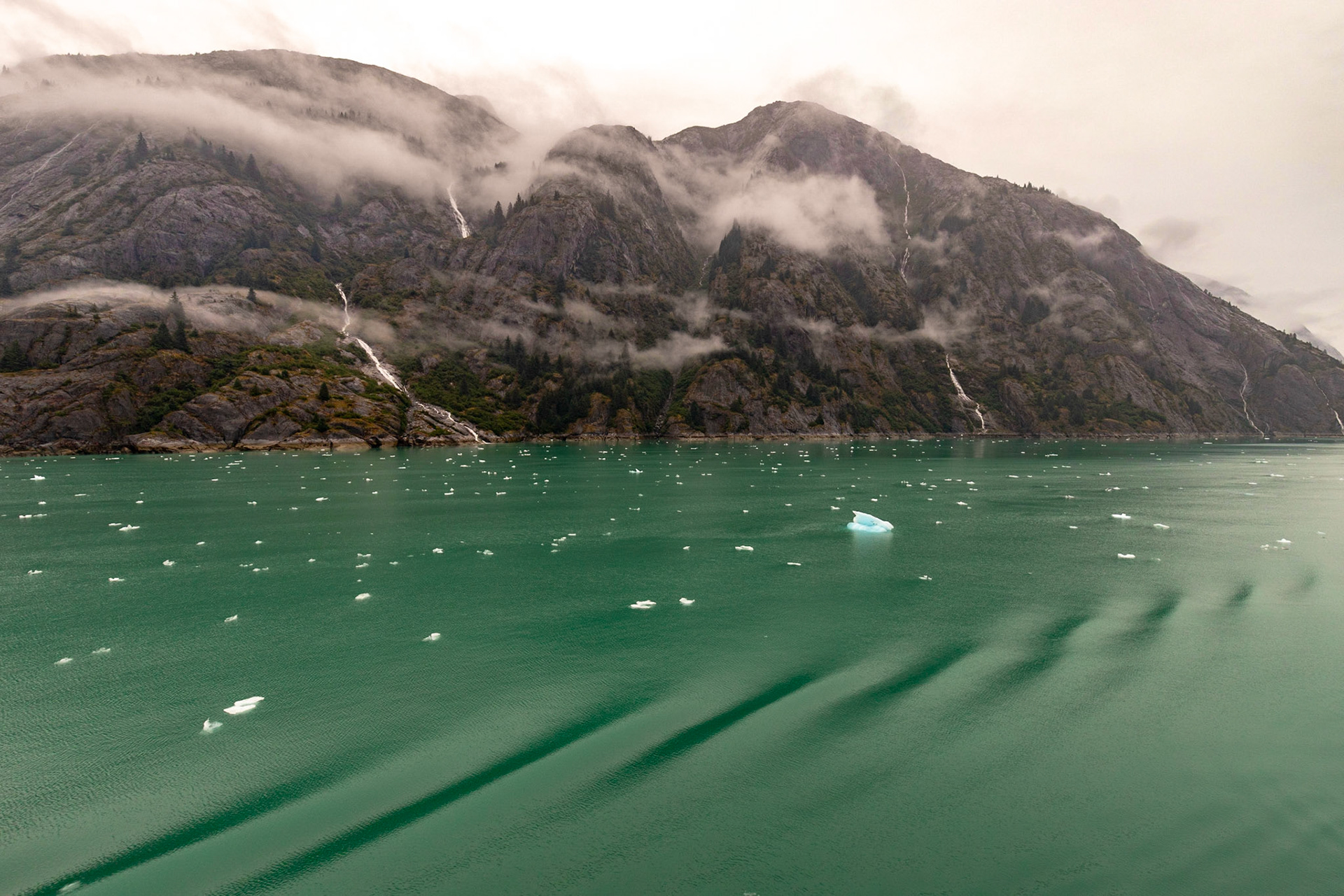 Alaska Inner Passage Cruise