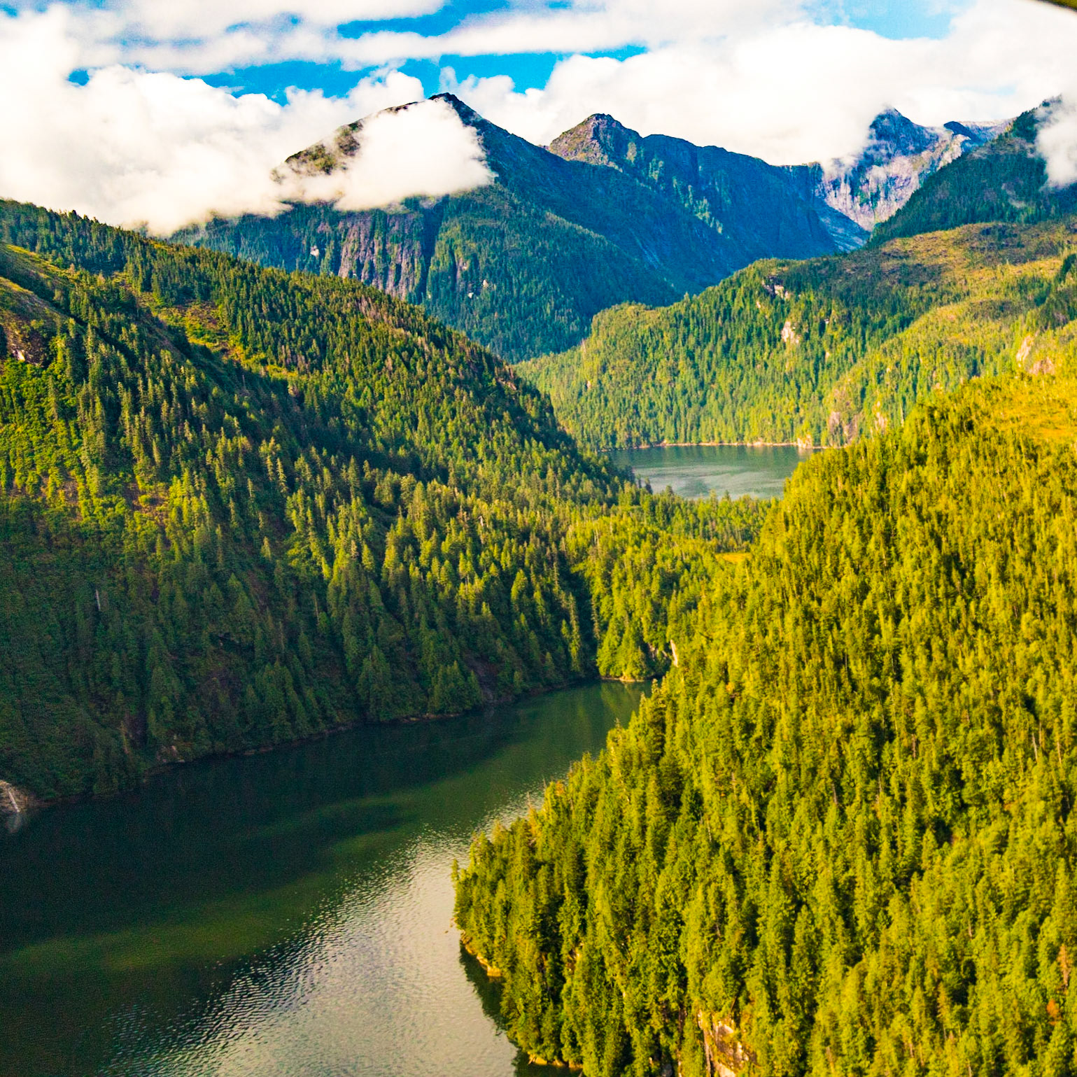 Alaska Inner Passage Cruise