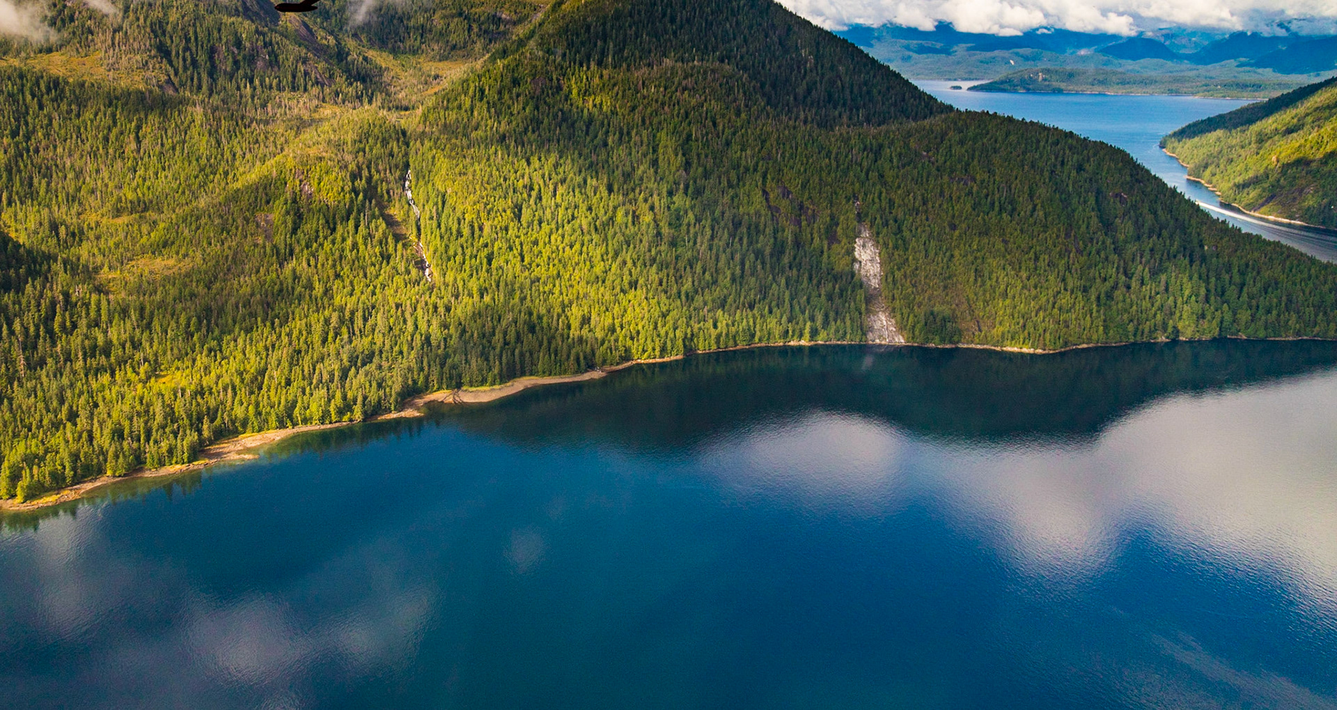 Alaska Inner Passage Cruise